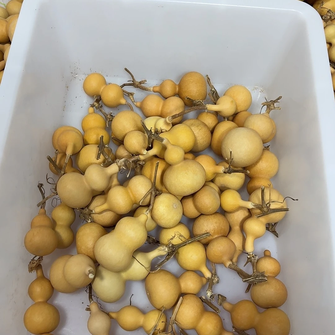 豌****不要拍1111111111