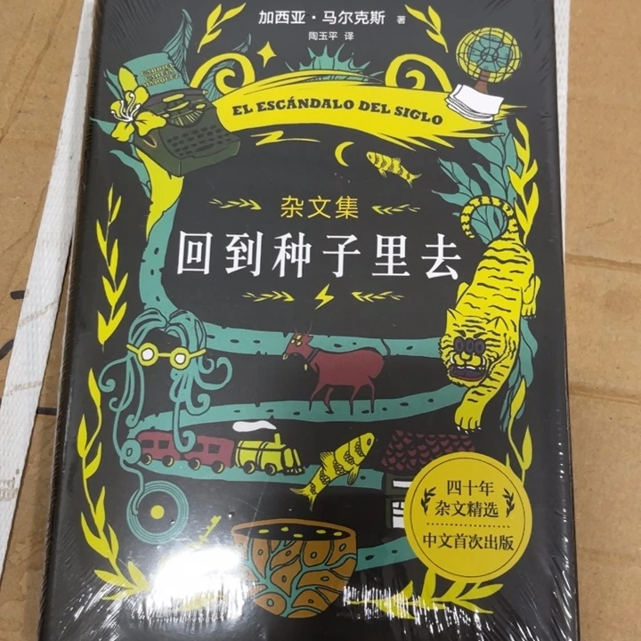 回到种子里丢失的东西