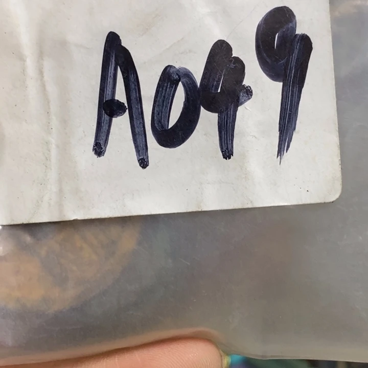 吊坠龙脊菩提贺*盛
