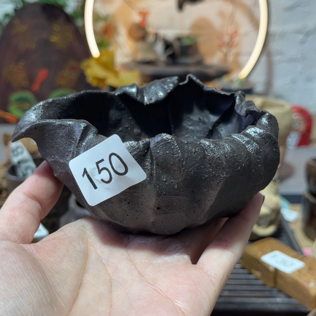 木村信弘柴烧保平