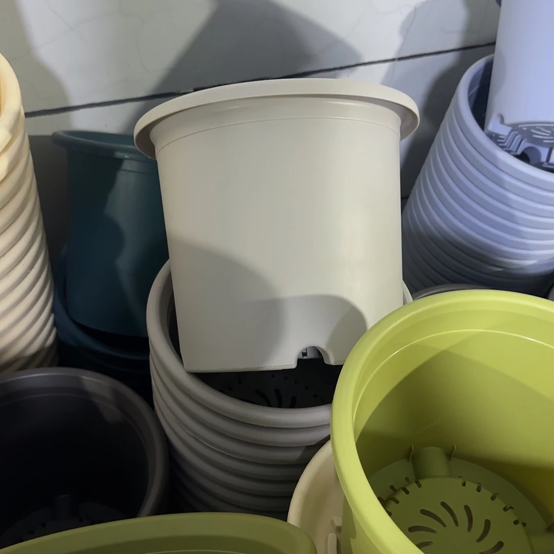 微瑕6号无托，灰白7个