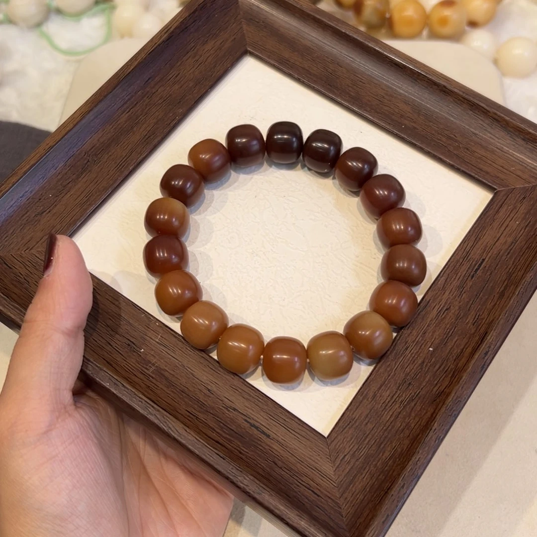 吊坠菩提根/象牙果扭蛋全卡4