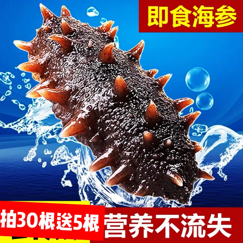 头茬春参福建直发 口感Q弹有嚼劲的大海参