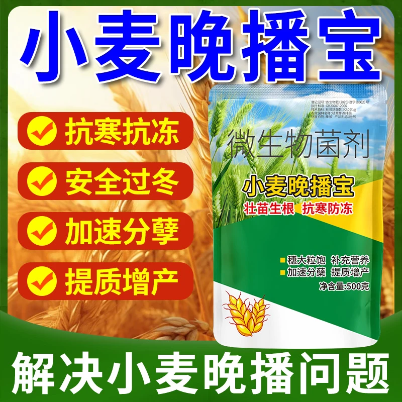 小麦晚播宝专用撒施颗粒麦乐丰升级版生根壮苗抗寒促分孽增产肥料