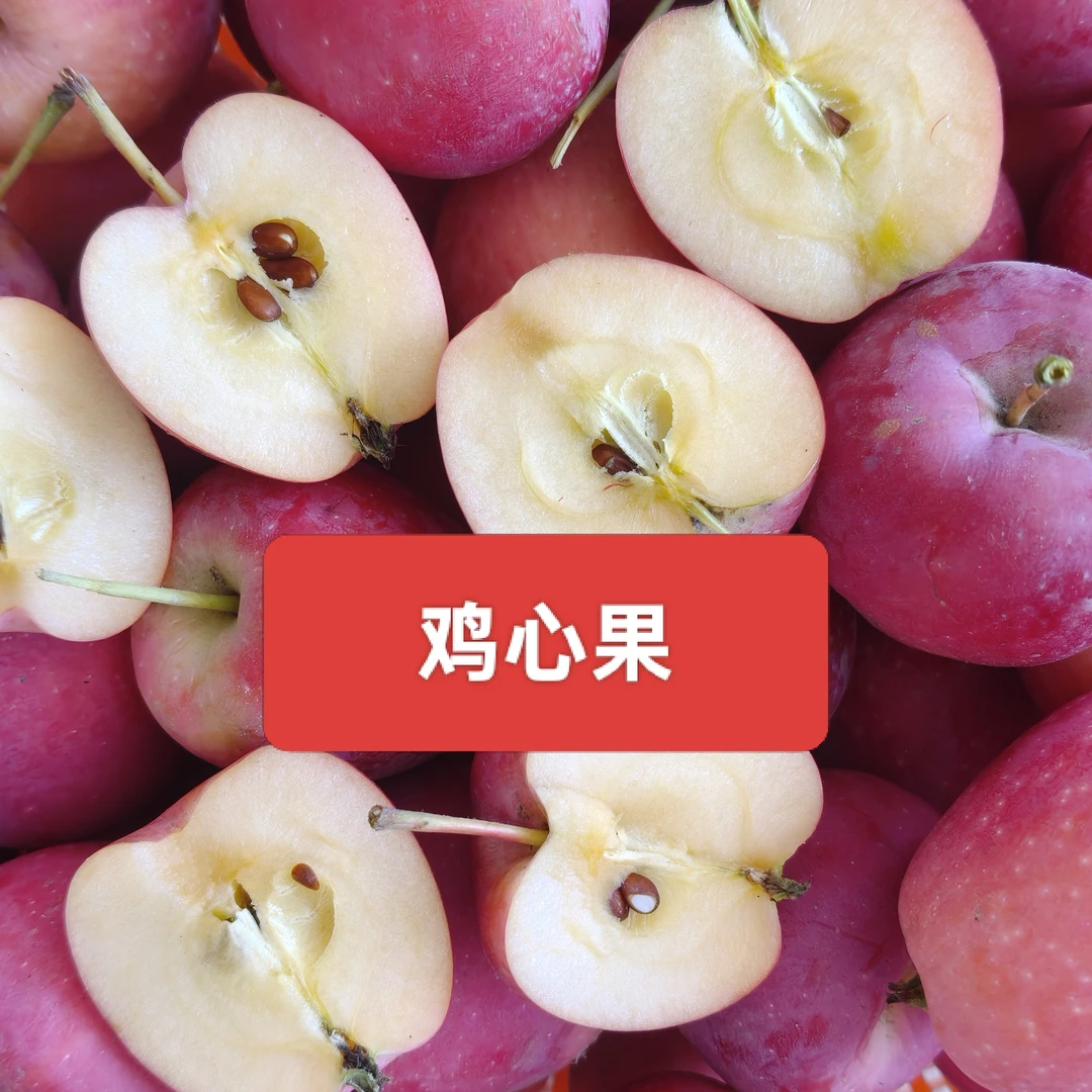 宁夏青铜峡甘城子农家自产鸡心果，色泽艳丽，口味独特，酸甜爽口，