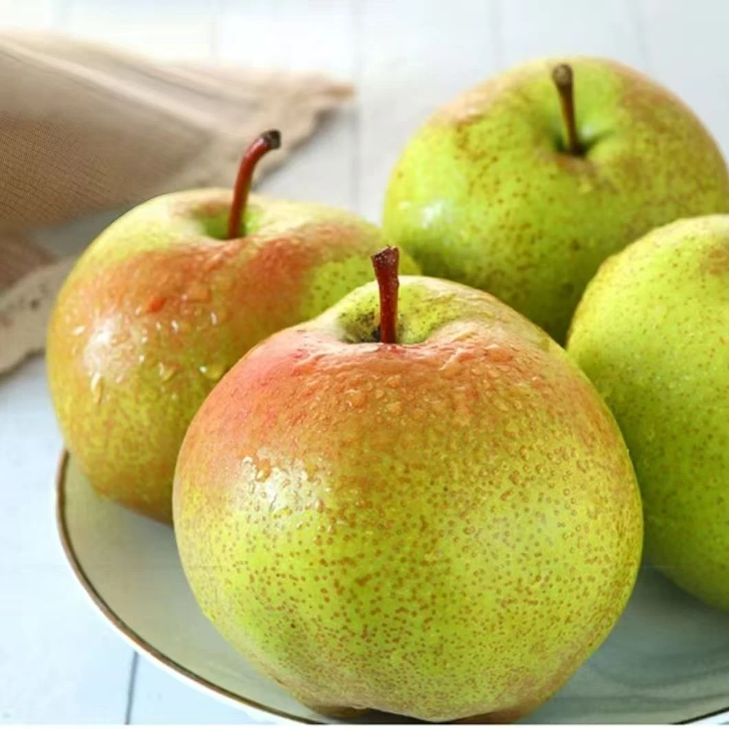 正宗甘肃八盘梨特级新鲜批发水果采摘香甜可口产地直发梨子包邮