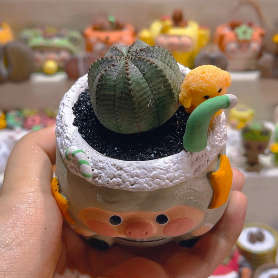 023布纹球带盆带土手工盆