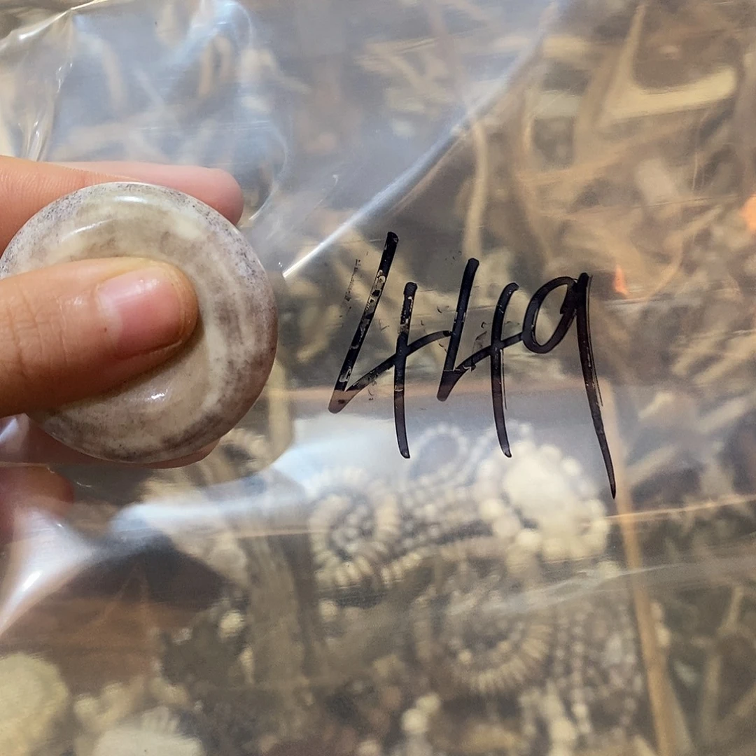 路***子非金属鹿角鹿角鹿角