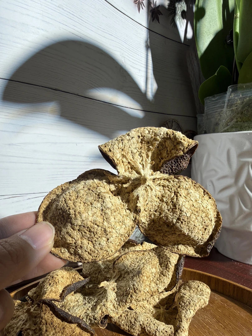 【美人鱼冬后推荐】新会生晒陈皮 核心一线西甲圈枝冬后皮 高货推荐