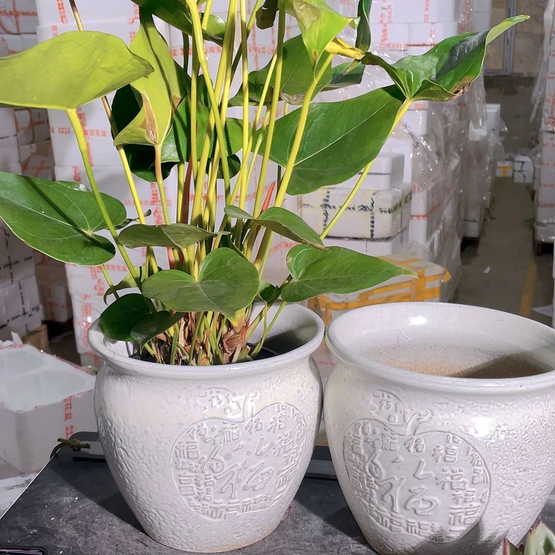白色圆口福子陶盆两个装