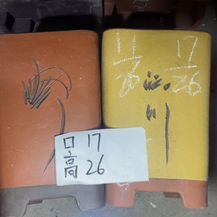 周深周深周深周深