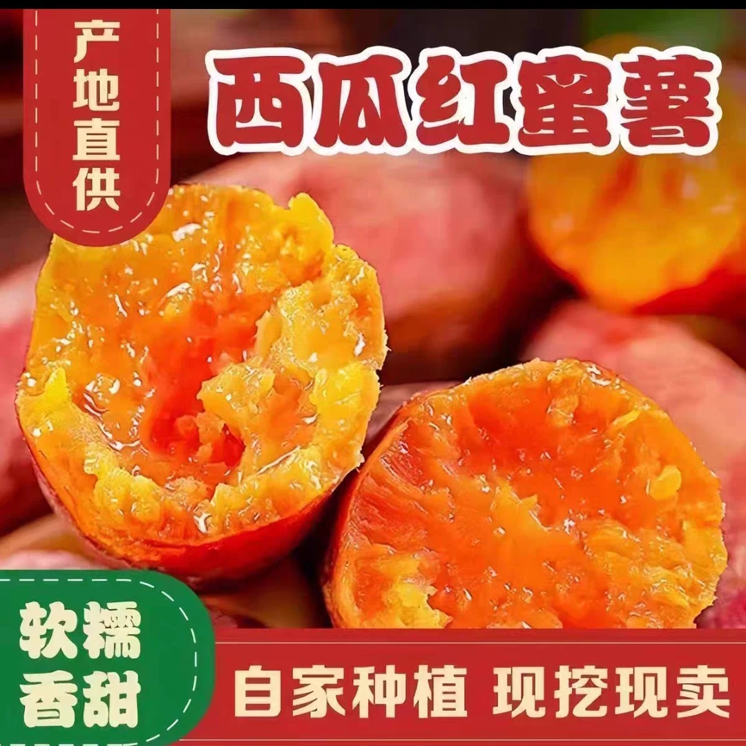 河南红薯新鲜红薯农家自种西瓜红糖心地瓜甜红薯烟薯番薯小香薯