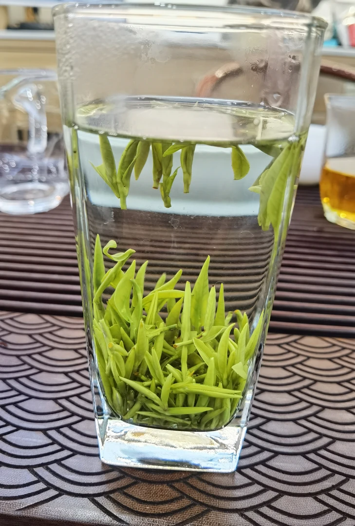 2025年新茶上市，开园头采毛峰绿茶花香嫩芽小芽头。新鲜鲜爽