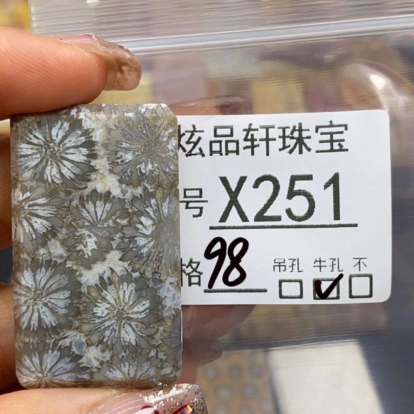 【闪购商品】硅化珊瑚（珊瑚玉）颈饰未镶嵌清****洛k 251