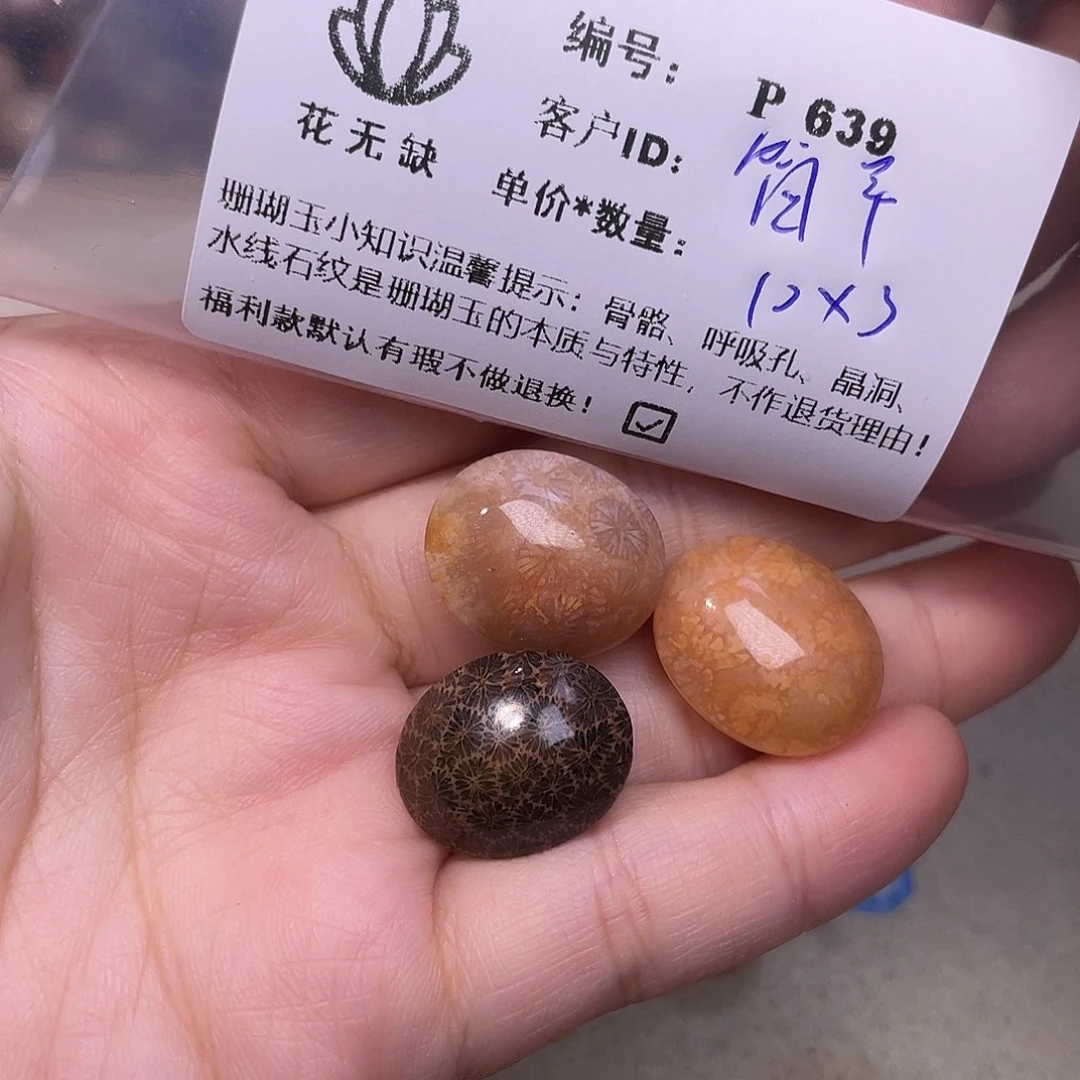简***单未镶嵌手镯硅化玉