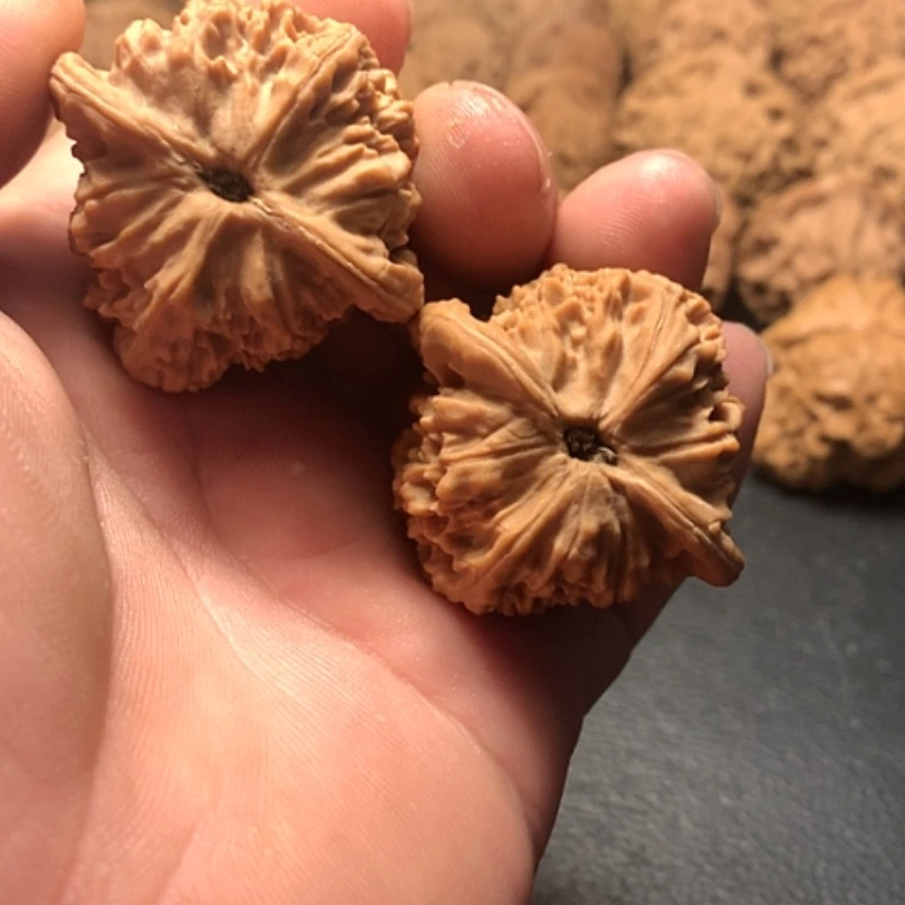 【闪购商品】把件文玩核桃浪*山红狮子