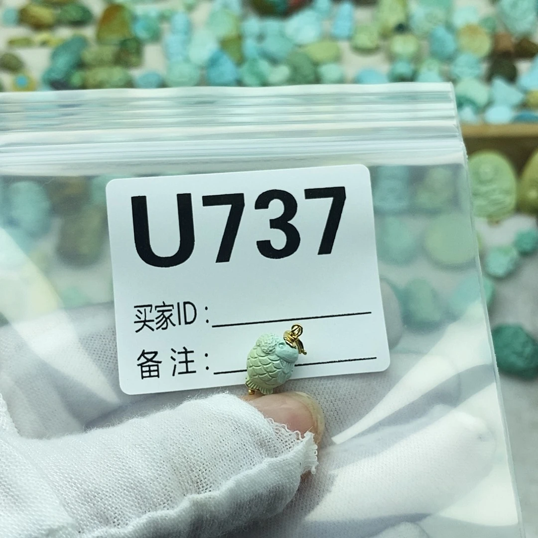 S***a未镶嵌绿松石配饰