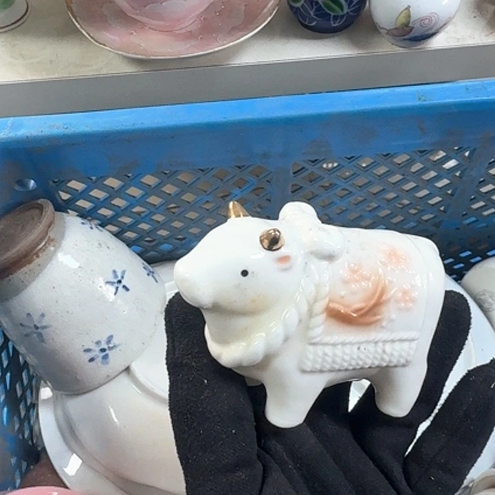 壶开播啦….开播啦