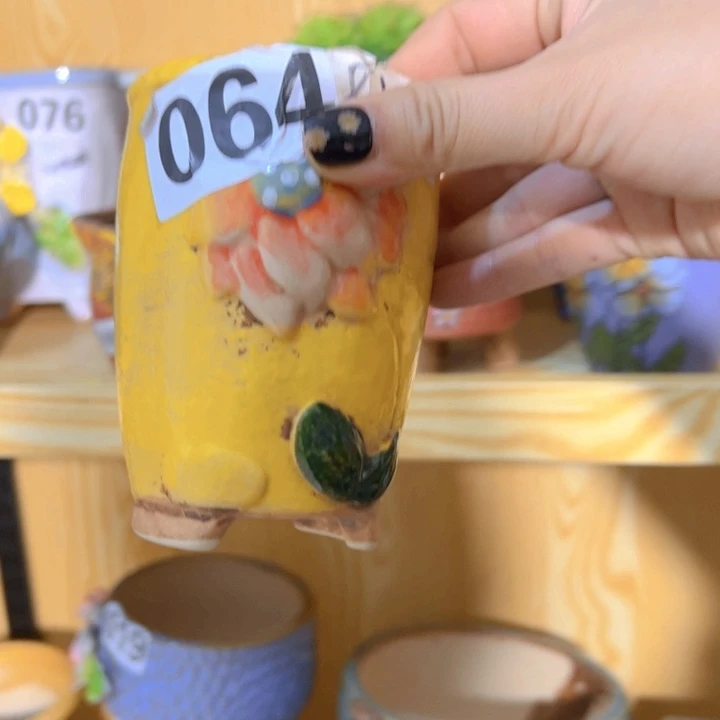 多肉花盆满15包邮，爱退款拉黑