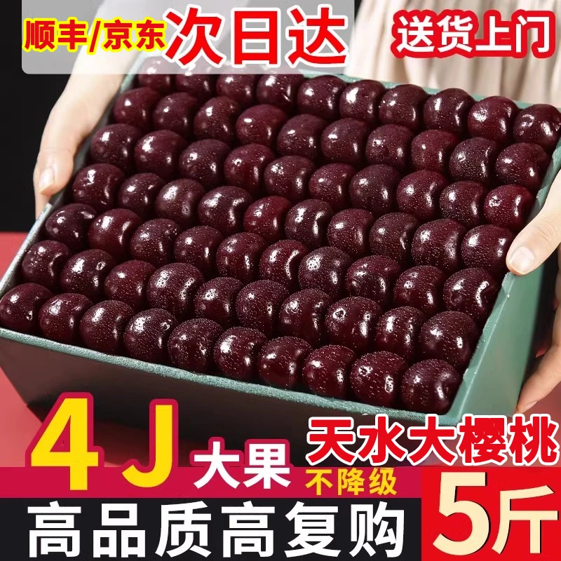 套袋胜利2斤5斤装天水大樱桃乌克兰3号晚熟黑车应季新鲜顺丰空运