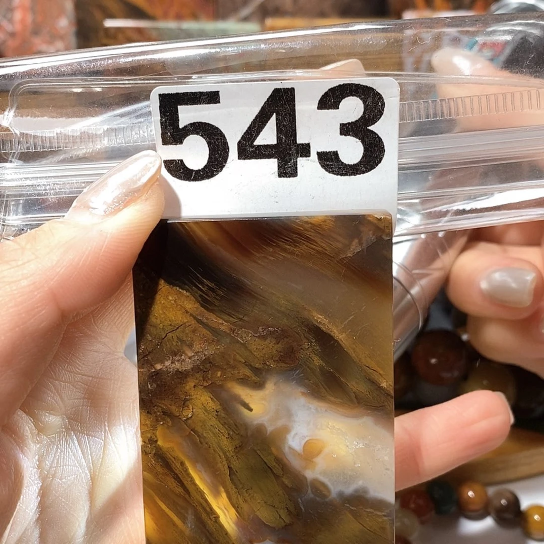 未镶嵌天然北票树化玉吊坠硅化玉