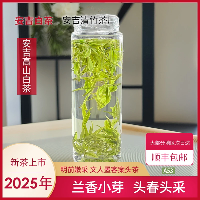 【兰香小芽】A53 安吉高山口粮白茶高山茶茶礼好白茶+兰花香