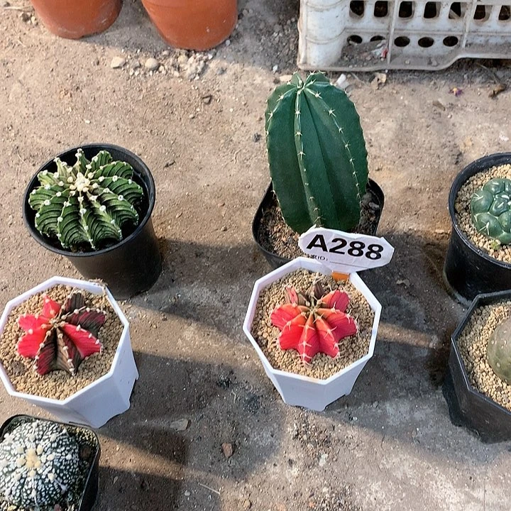 离**居333333333333333333