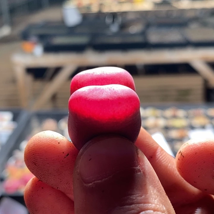 Y****?20254一个一个一个