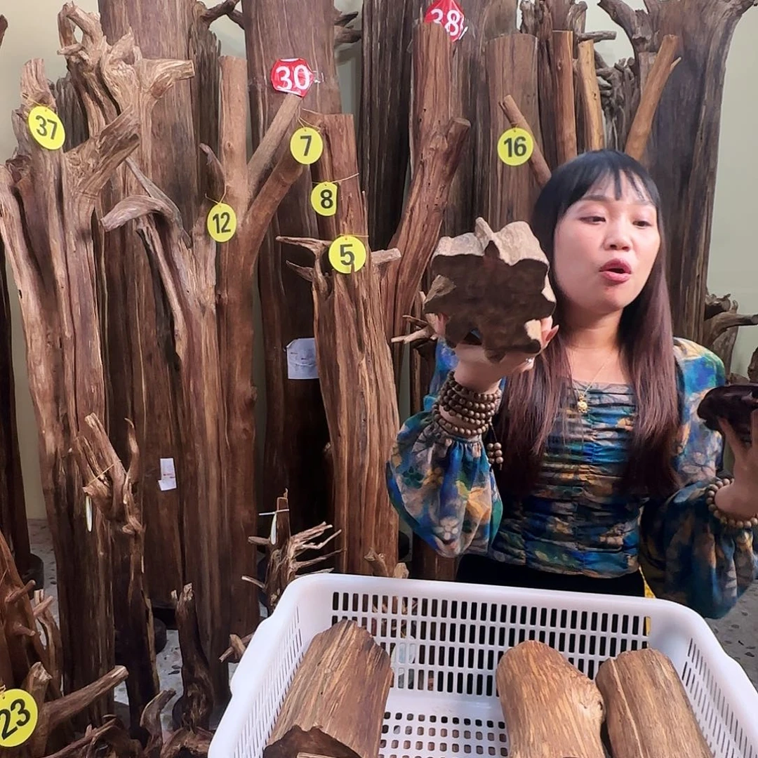 沉香沉香碎屑天然沉香原材料香料熏料