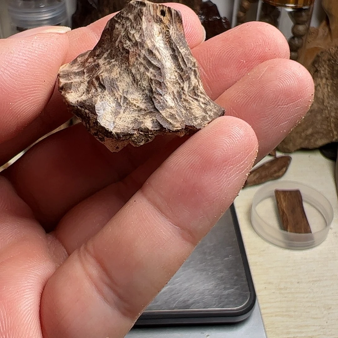 沉香沉香碎屑斯里兰卡沉香2.8克