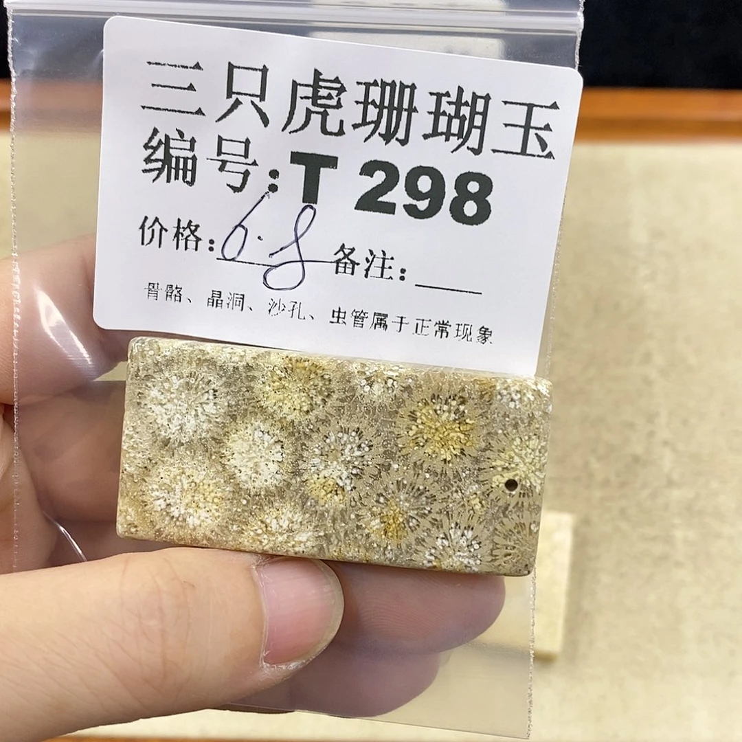 硅化珊瑚（珊瑚玉）1未镶嵌大*橙
