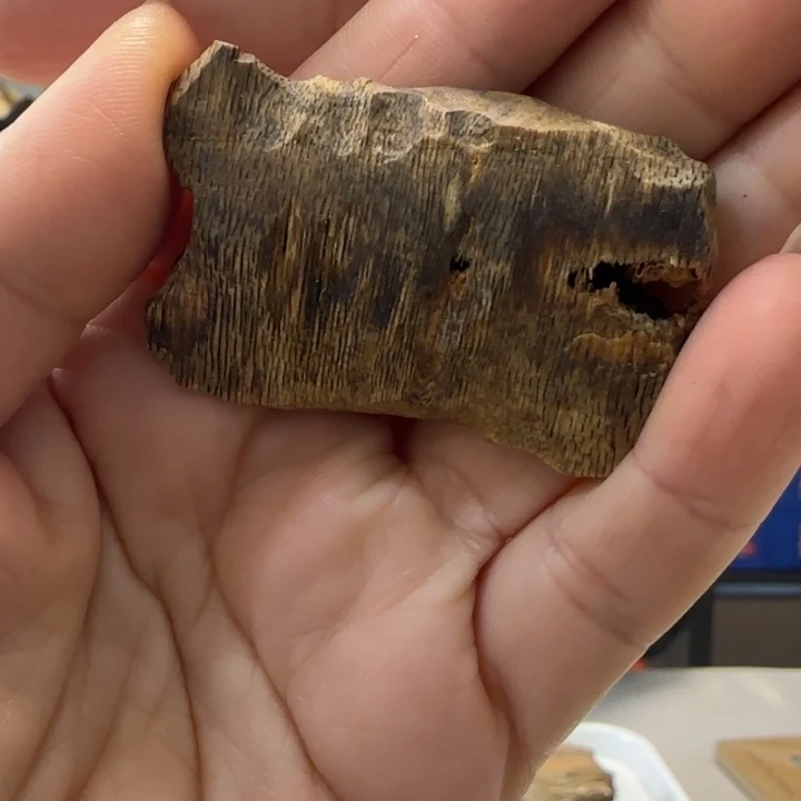 沉香碎屑沉香原料Y 4 g