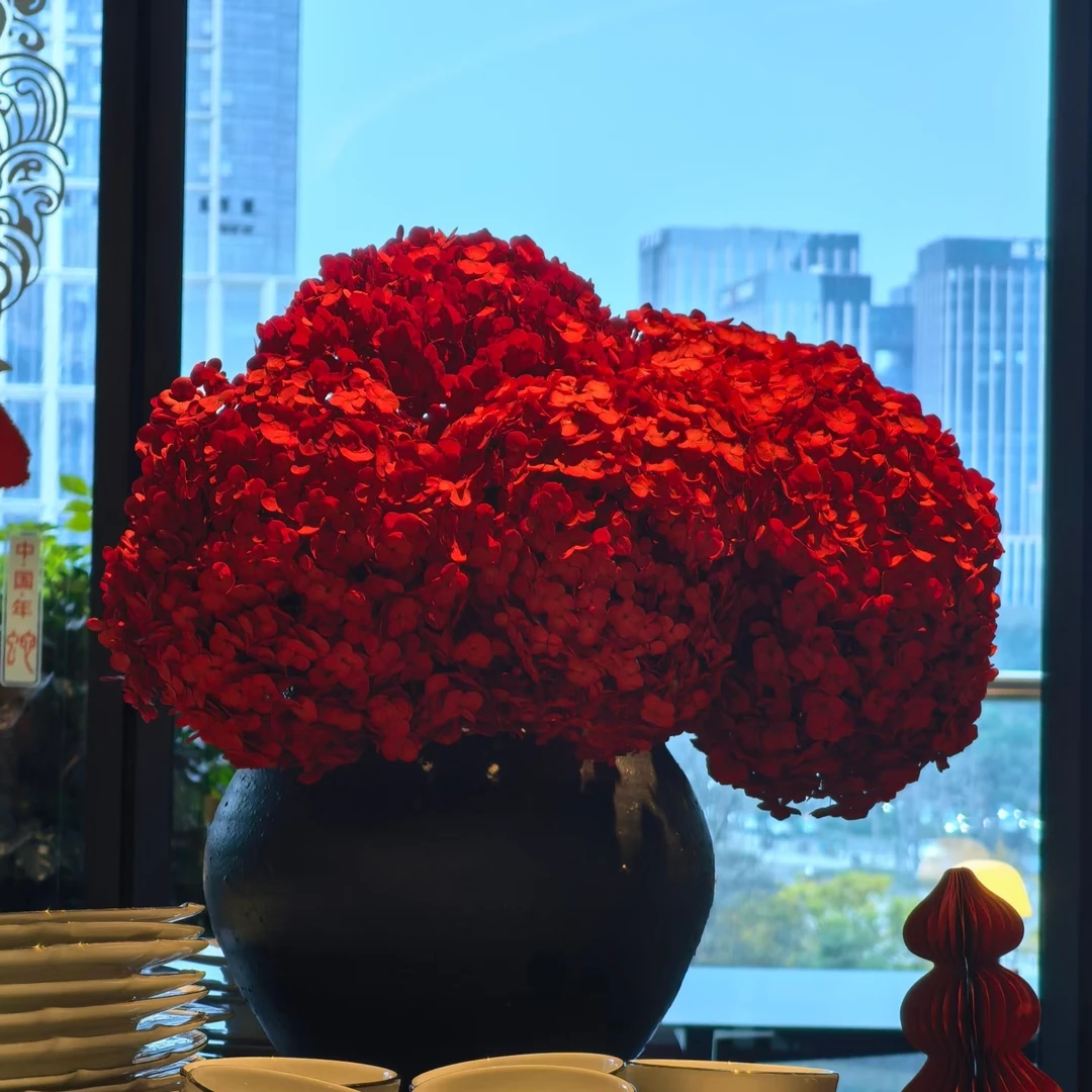 【5A级绣球 永生绣球红色 混色】绣球必备永生花 花期长