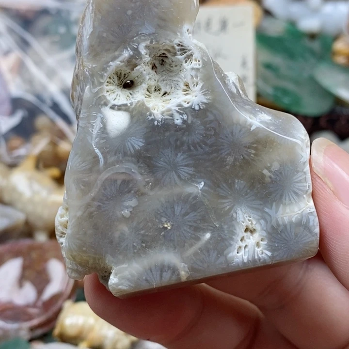 硅化珊瑚（珊瑚玉）未镶嵌颈饰时****许