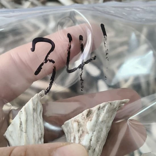 一***茶鹿角鹿角鹿角鹿角鹿角鹿角