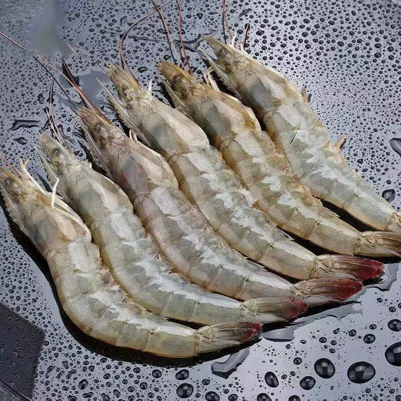 【妍妹】4斤海捕大虾3斤送1斤 2030单只16-18cm 45只左右 顺丰冷链精品