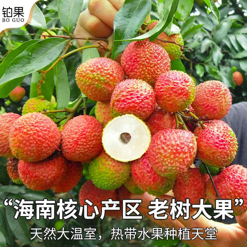 3/5斤海南妃子笑荔枝新鲜当季水果王桂花味大果甜整箱