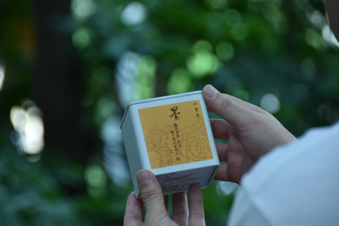 “墨”--茶颜墨色--劝君更敬一杯茶西出阳关无故人--15年六堡茶500g