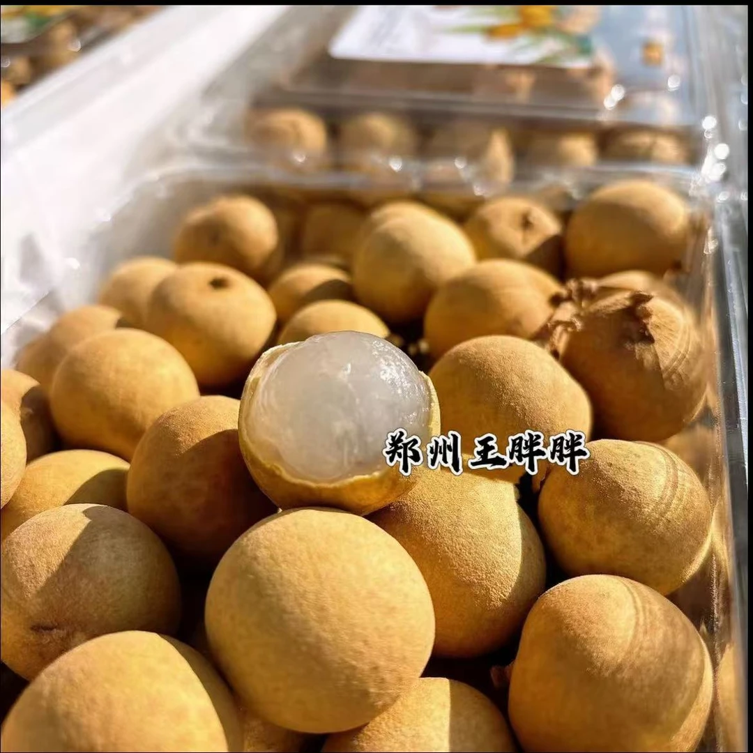 7 金果源 新鲜龙眼 J  2盒装净重4斤