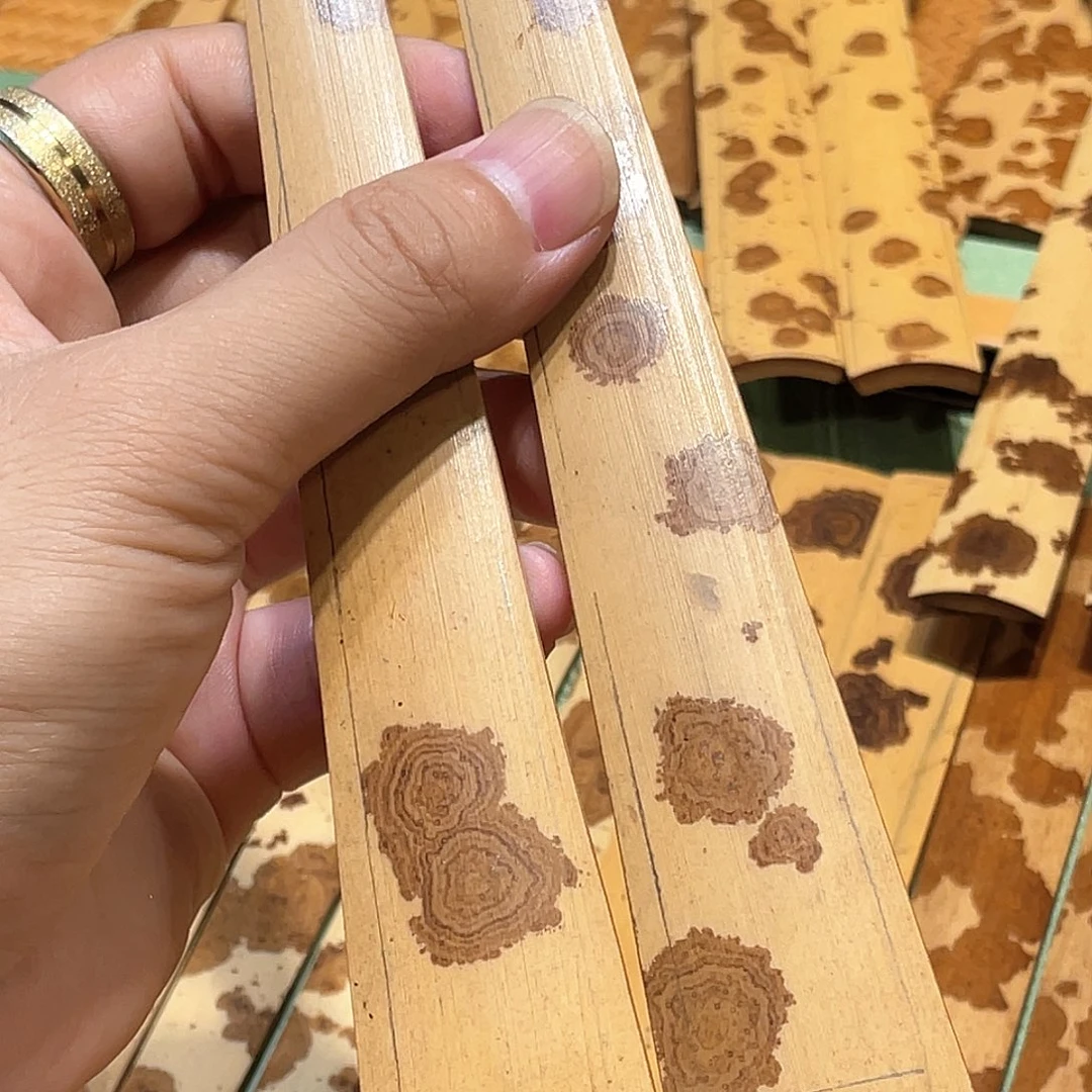 扇子折扇成为世界第一2