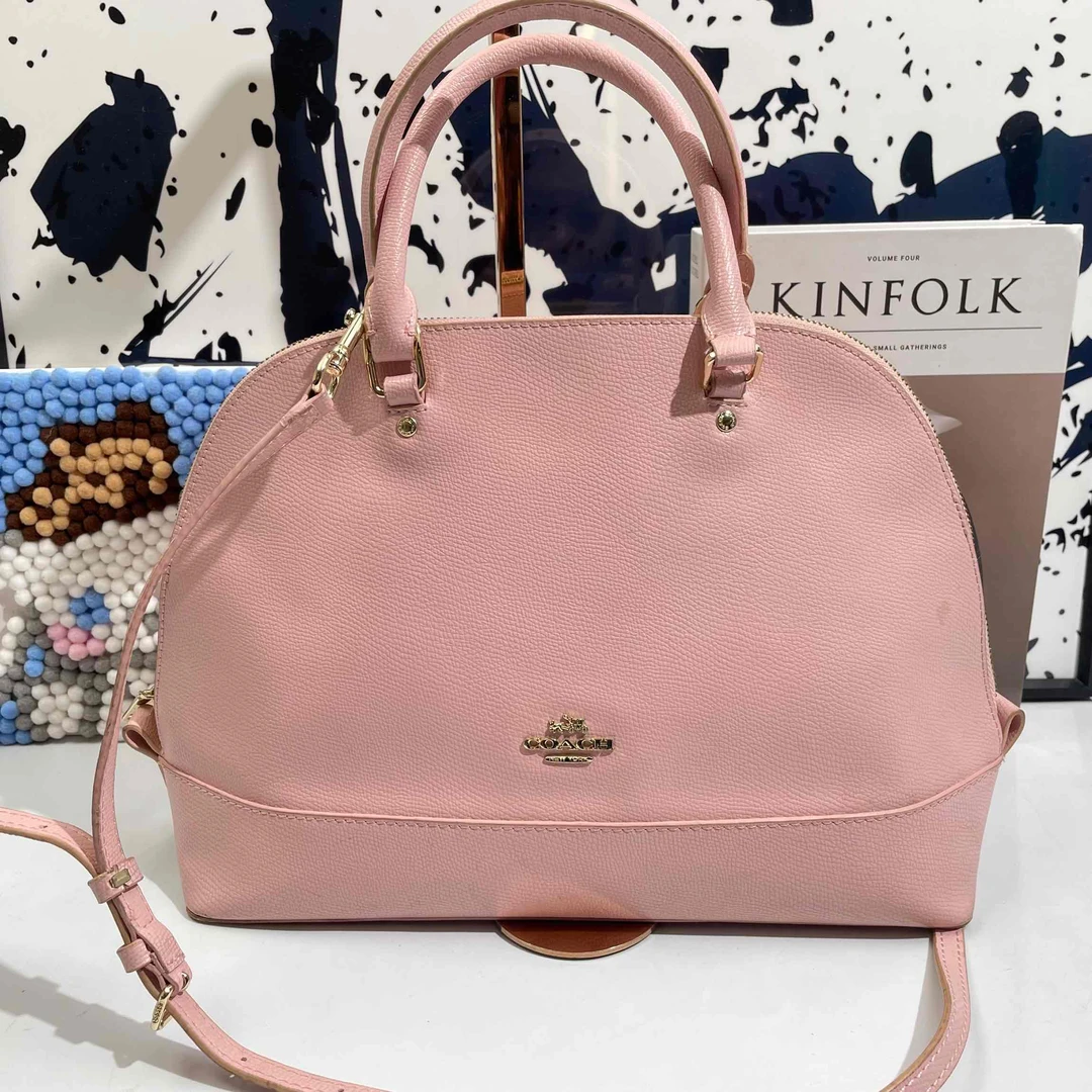 95新  小野专属/95新/蔻驰/单肩包/DJ8485