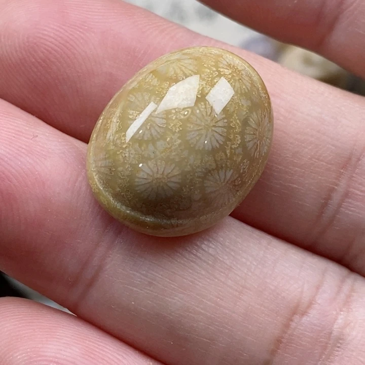 颈饰未镶嵌硅化珊瑚（珊瑚玉）竹***声
