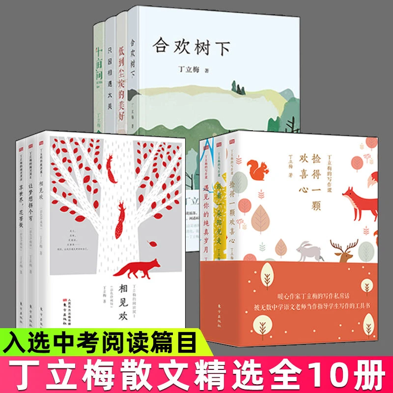 丁立梅散文精选集 丁立梅的阅读课 丁立梅的写作课 全10册 中考热
