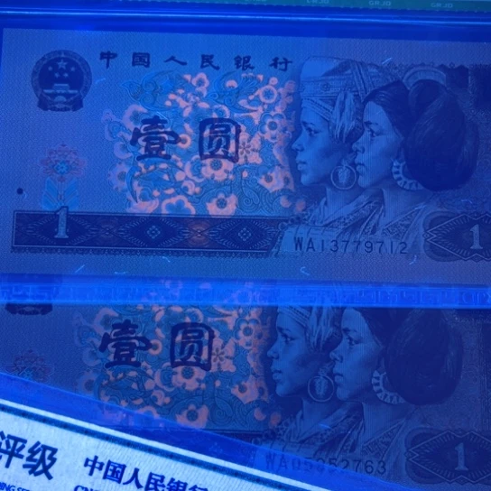 塑料961青河绿十张欢迎新老客户下单