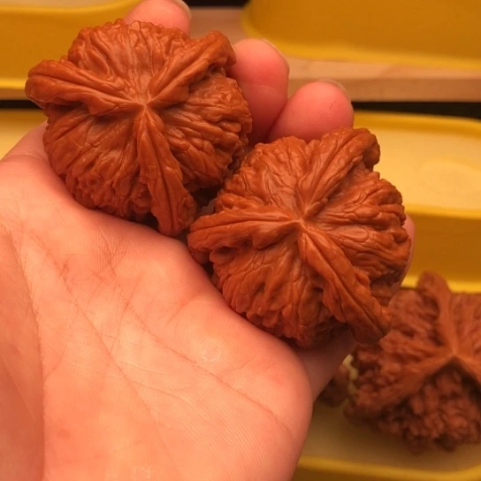 Z***伦核桃核桃核桃核桃厚薄