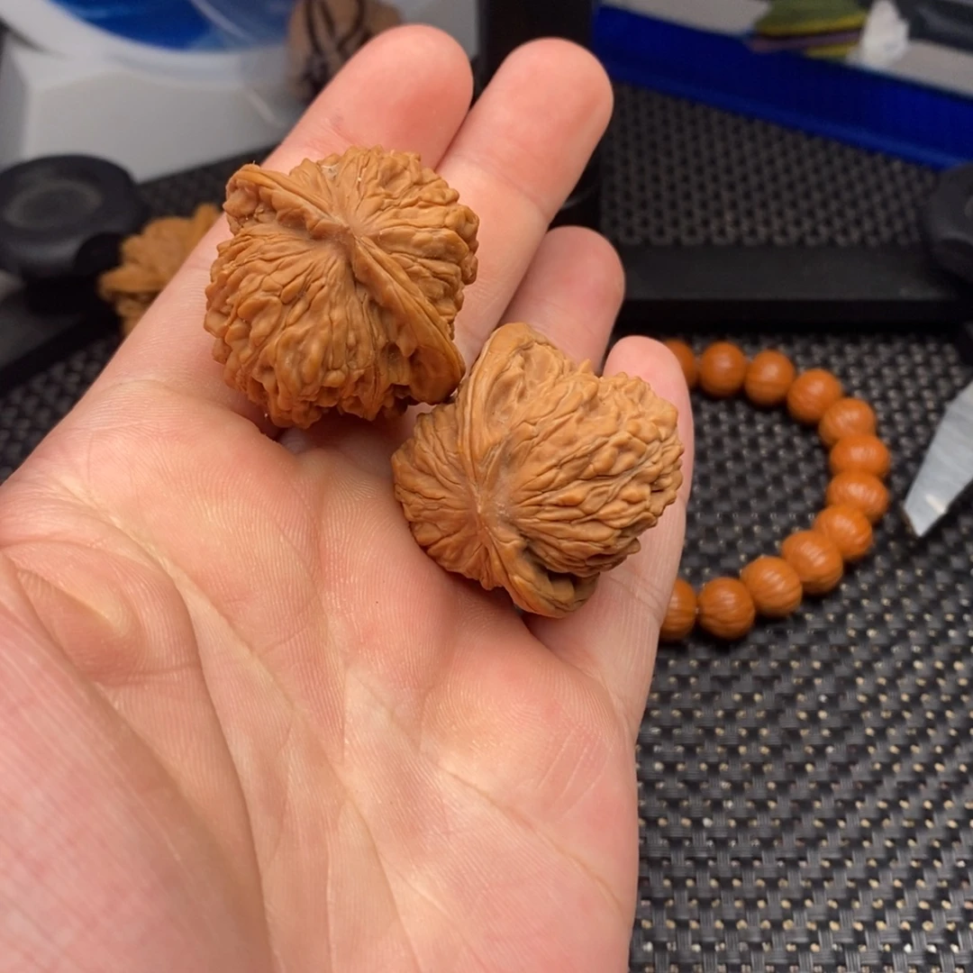 天***意核桃核桃核桃核桃核桃核桃