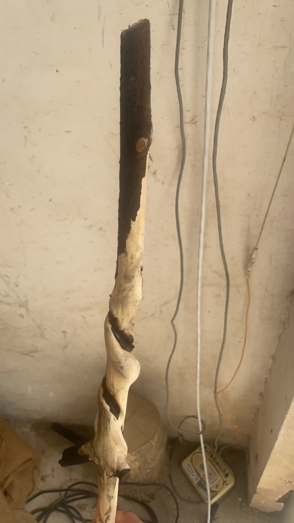 檬子木、对节木拐杖拐棍木棍