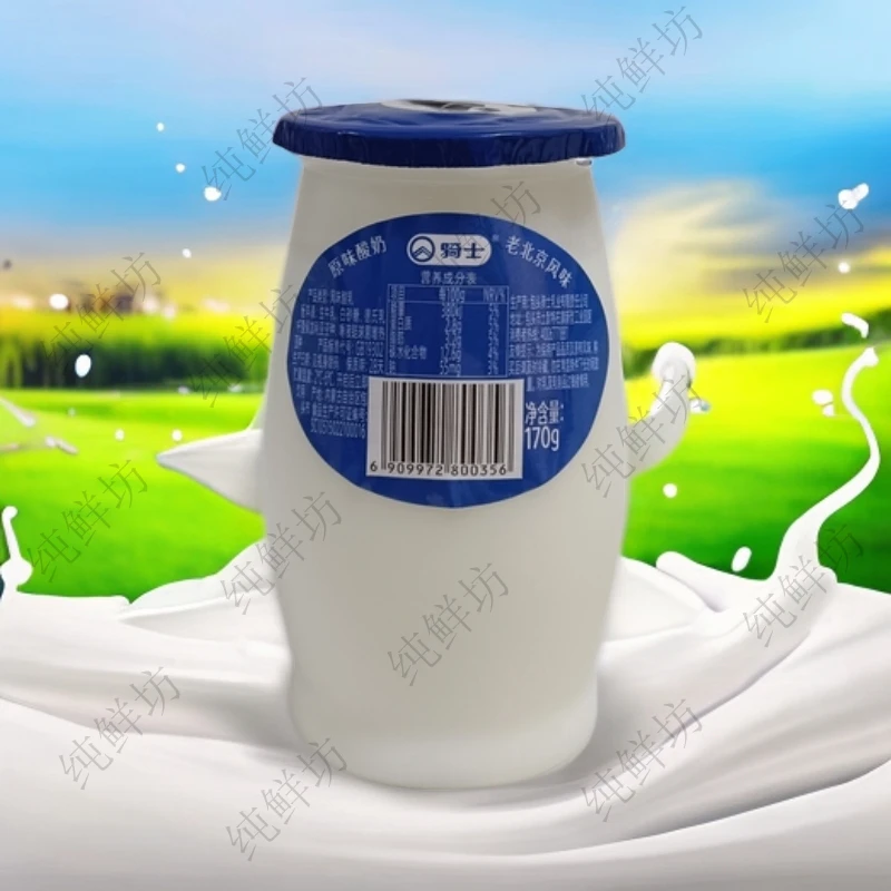 骑士170g老北京酸奶老式发酵乳12罐凝固型正宗休闲零食