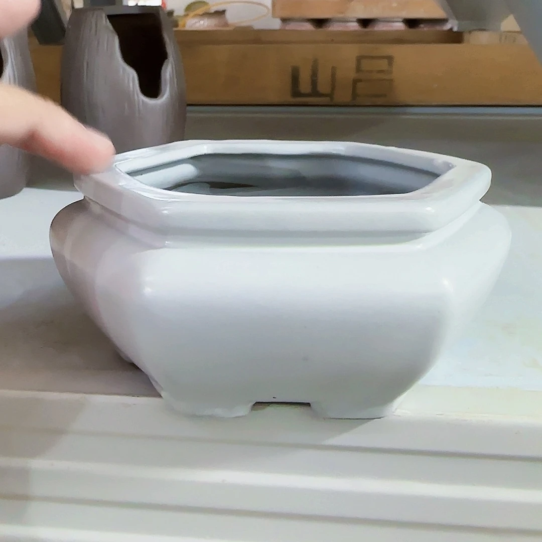 陶瓷花盆特价上新