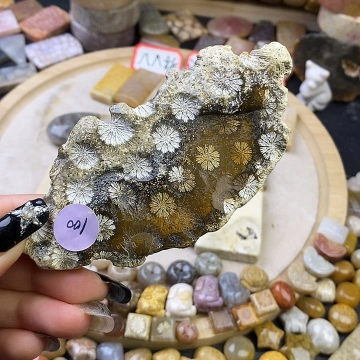 针钠钙石（海纹石）未镶嵌颈饰8